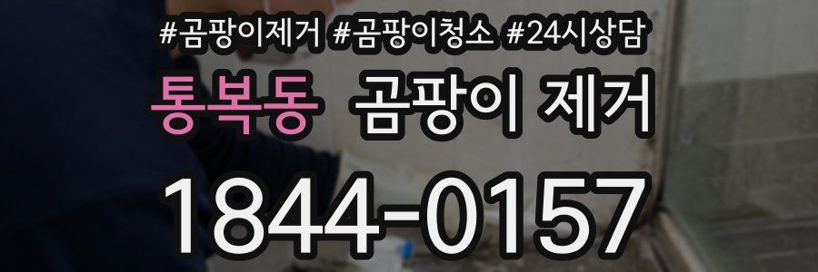 통복동 곰팡이 제거
