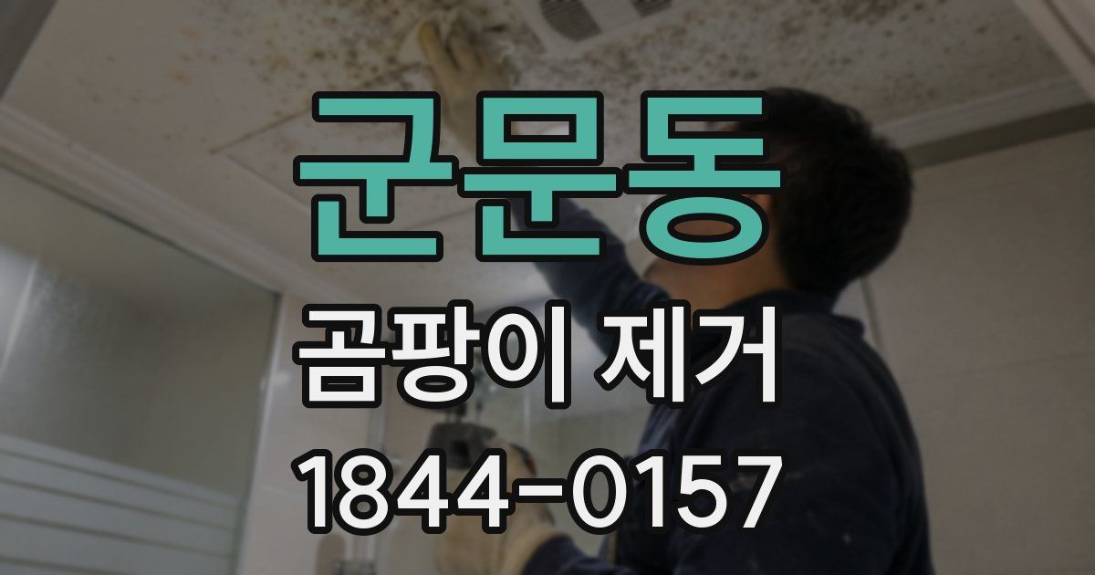 군문동 곰팡이 제거