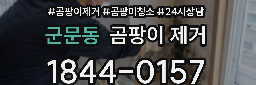 군문동 곰팡이 제거