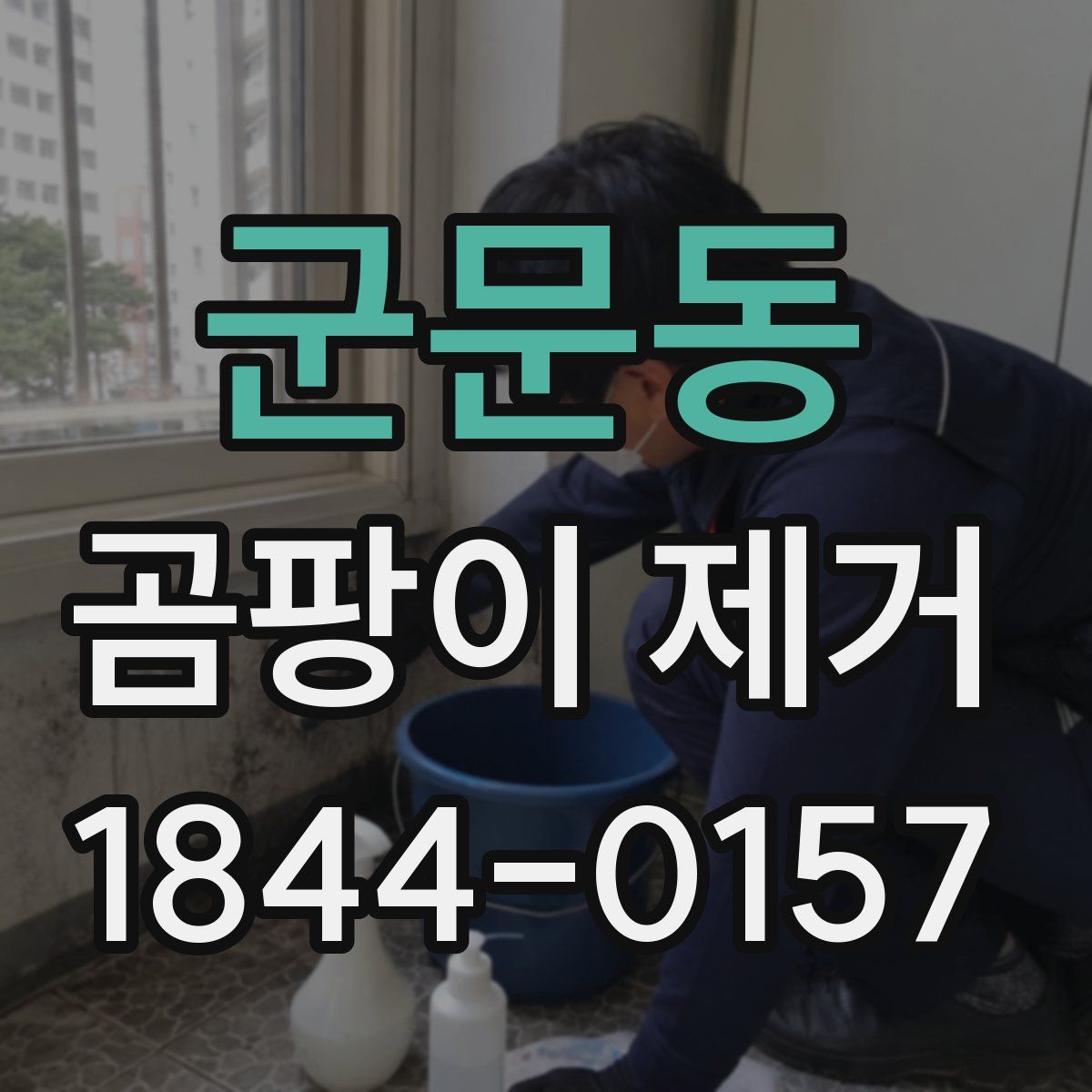 군문동 곰팡이 제거