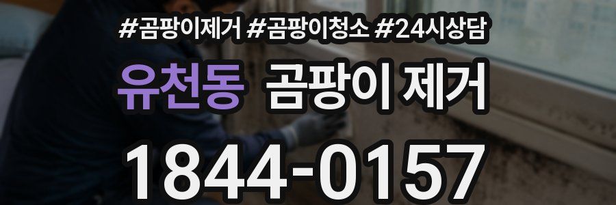 유천동 곰팡이 제거
