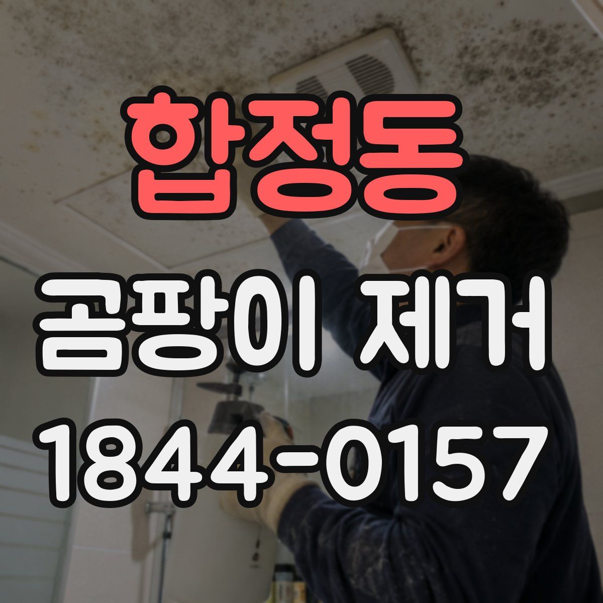 합정동 곰팡이 제거