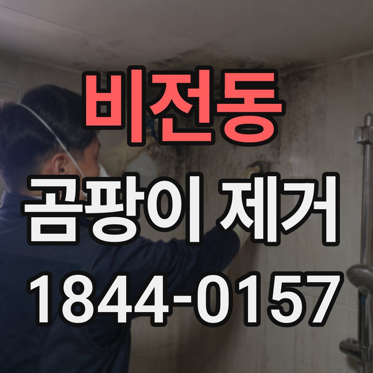 비전동 곰팡이 제거