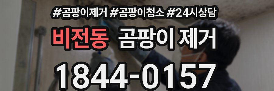 비전동 곰팡이 제거