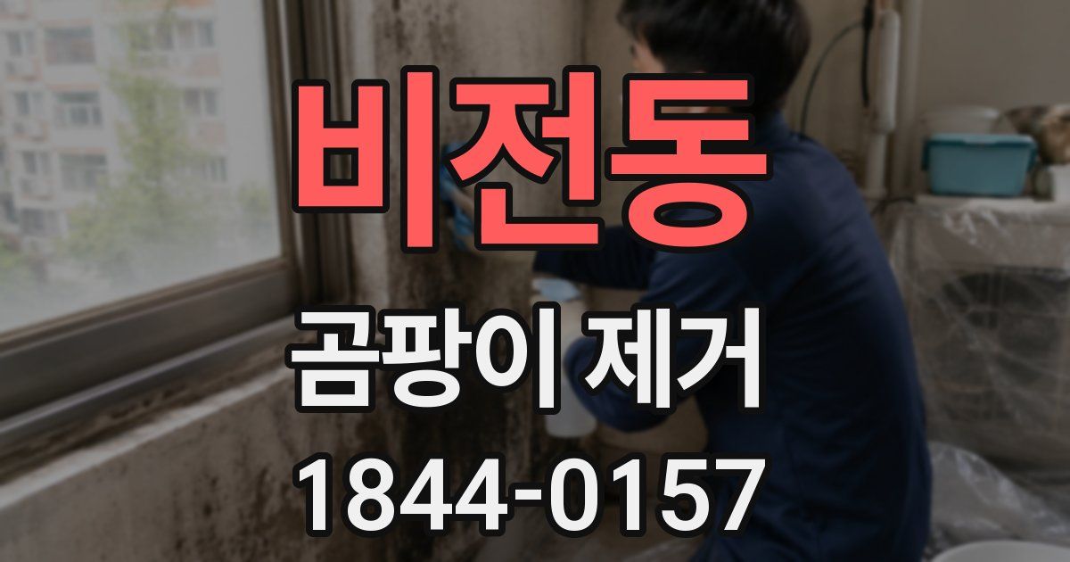 비전동 곰팡이 제거