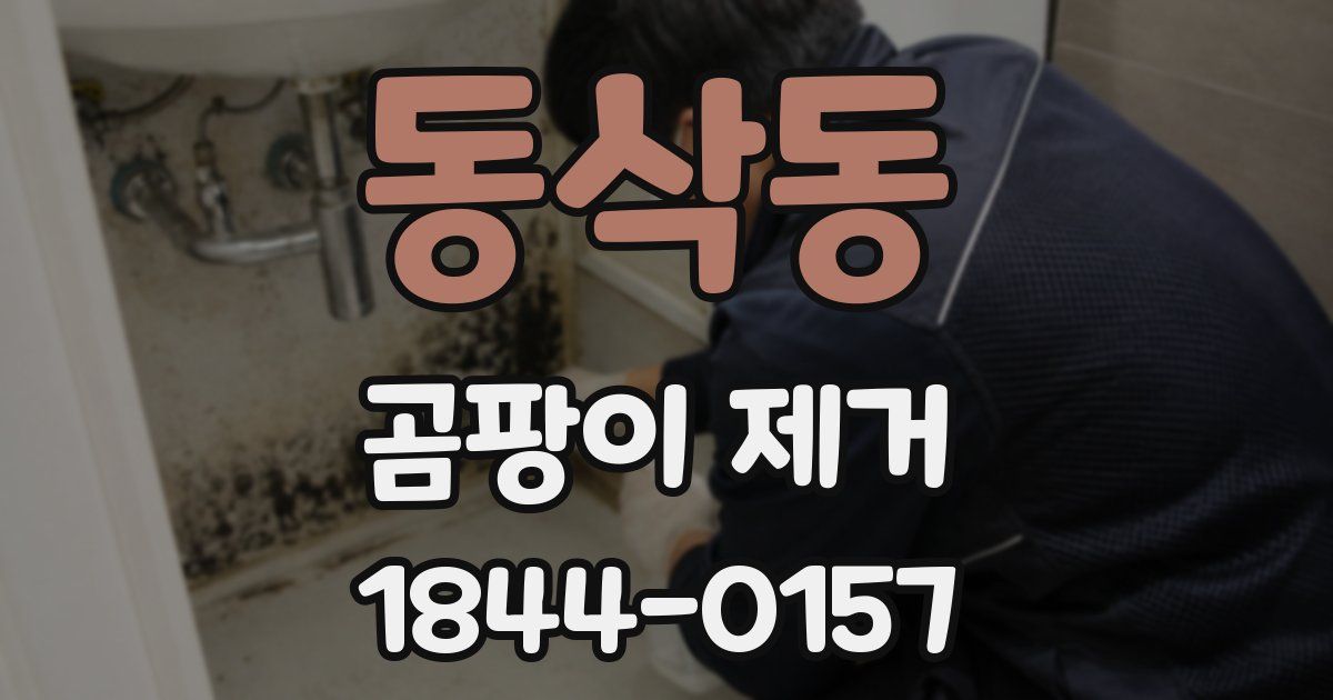 동삭동 곰팡이 제거