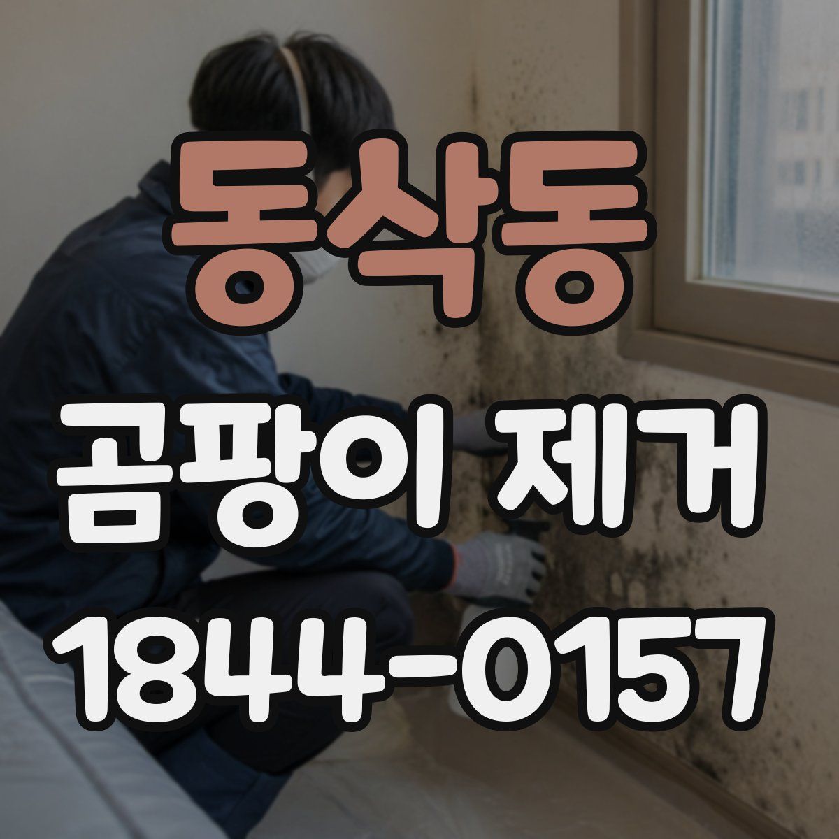동삭동 곰팡이 제거