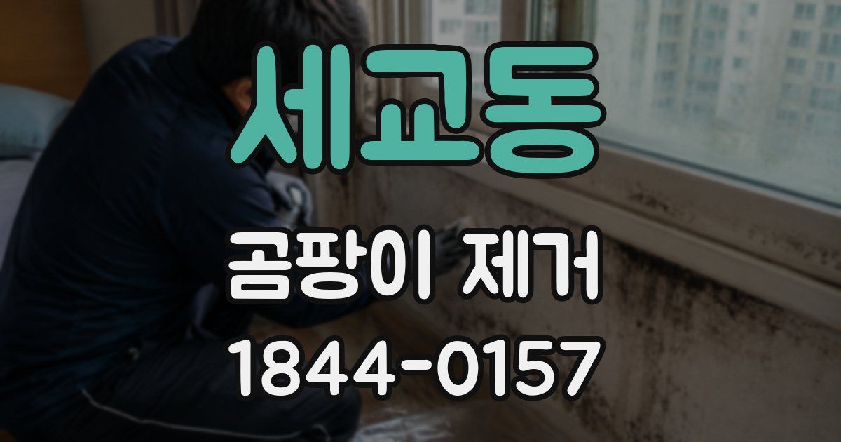 세교동 곰팡이 제거