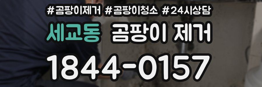 세교동 곰팡이 제거