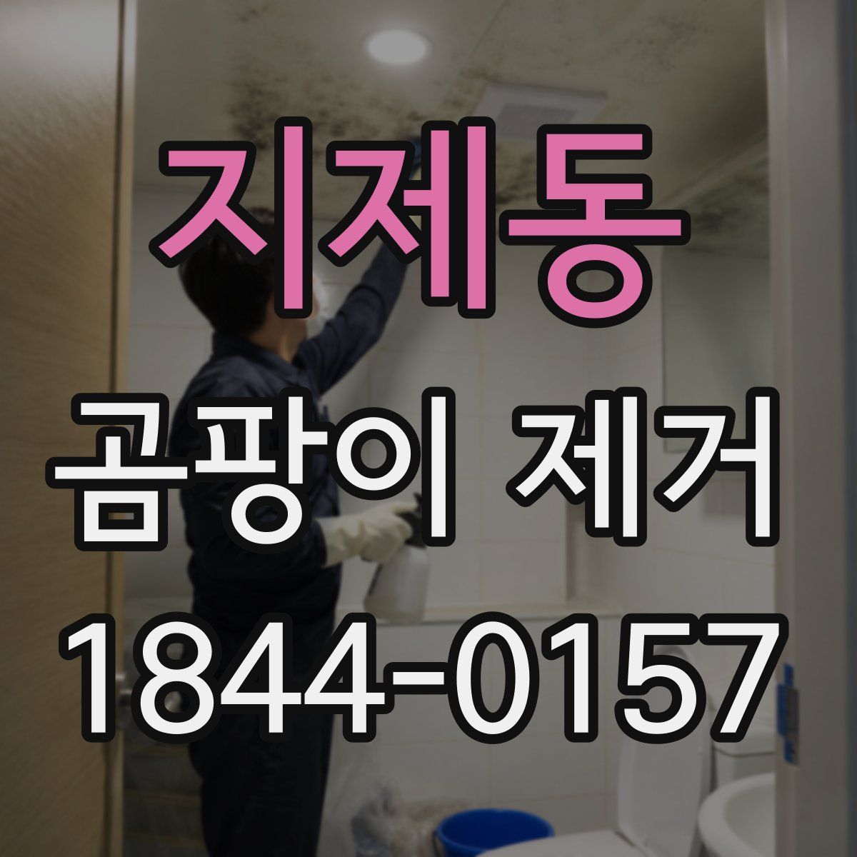 지제동 곰팡이 제거