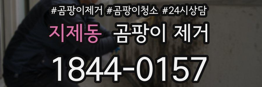 지제동 곰팡이 제거