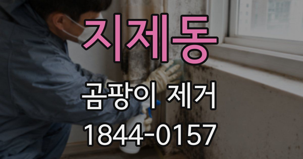 지제동 곰팡이 제거