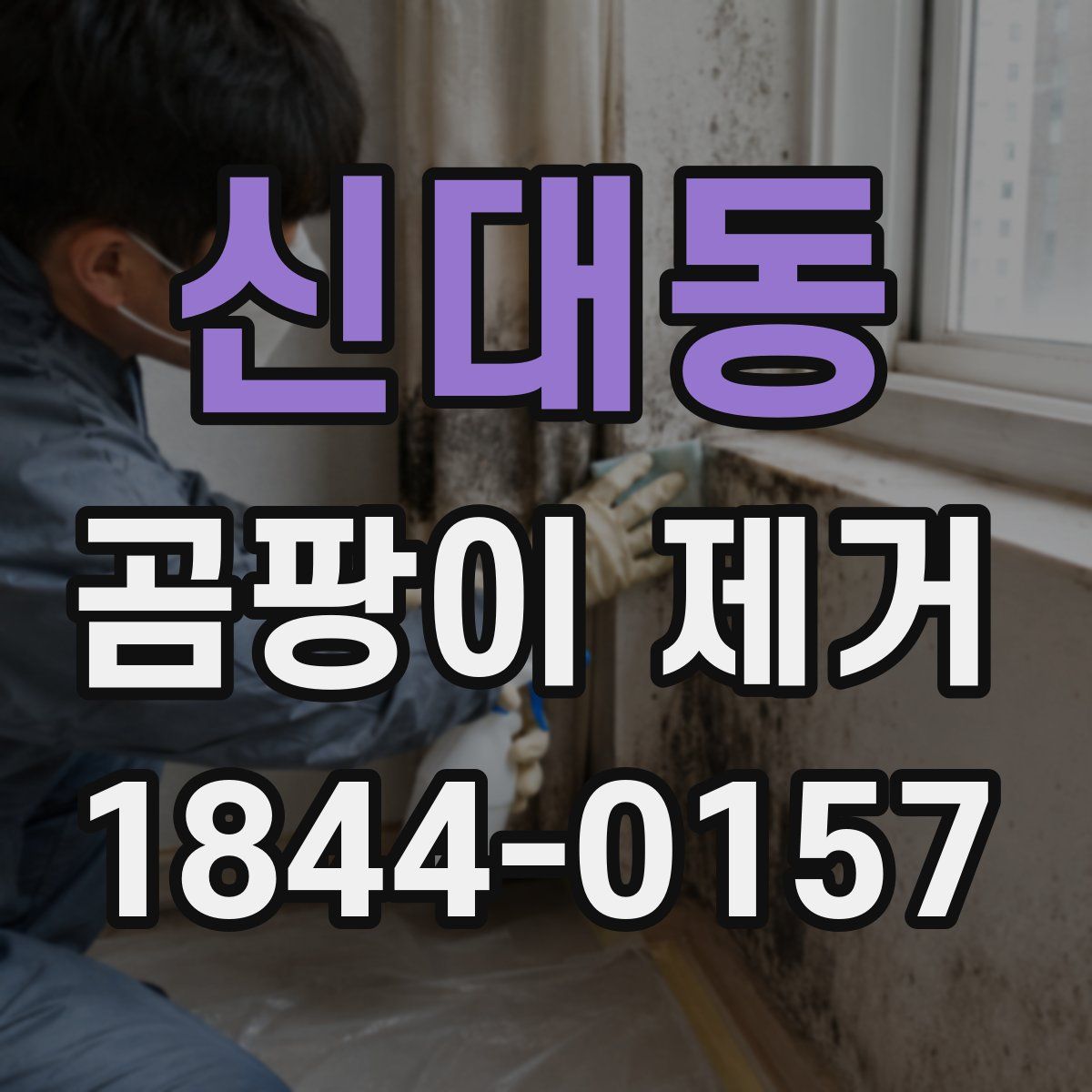 신대동 곰팡이 제거