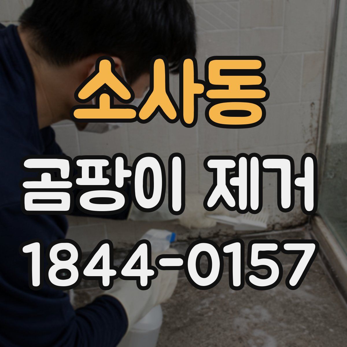 소사동 곰팡이 제거
