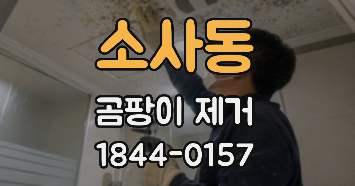 소사동 곰팡이 제거