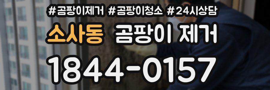 소사동 곰팡이 제거