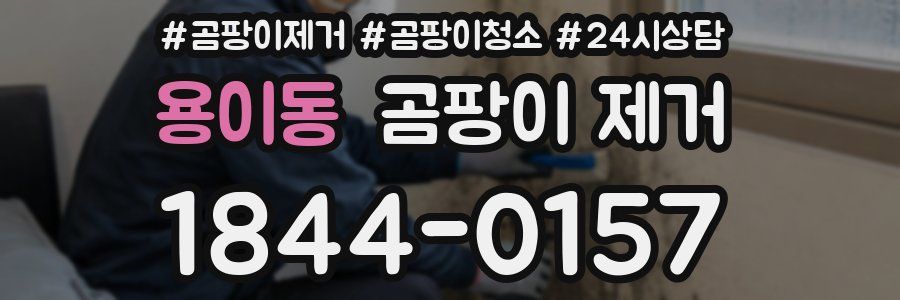 용이동 곰팡이 제거