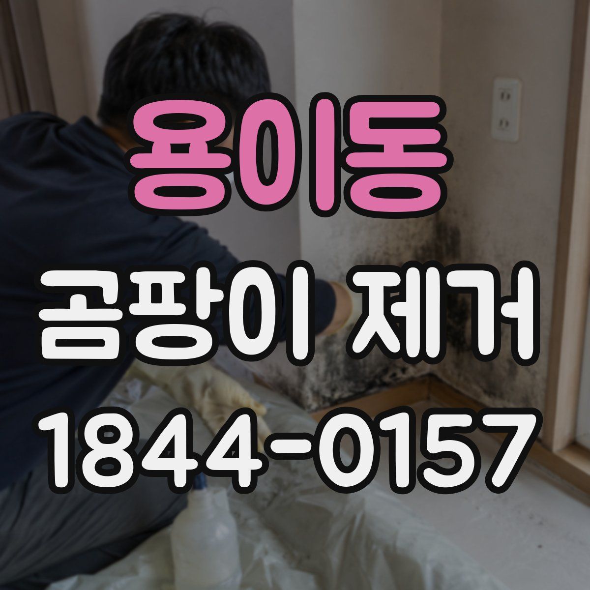 용이동 곰팡이 제거