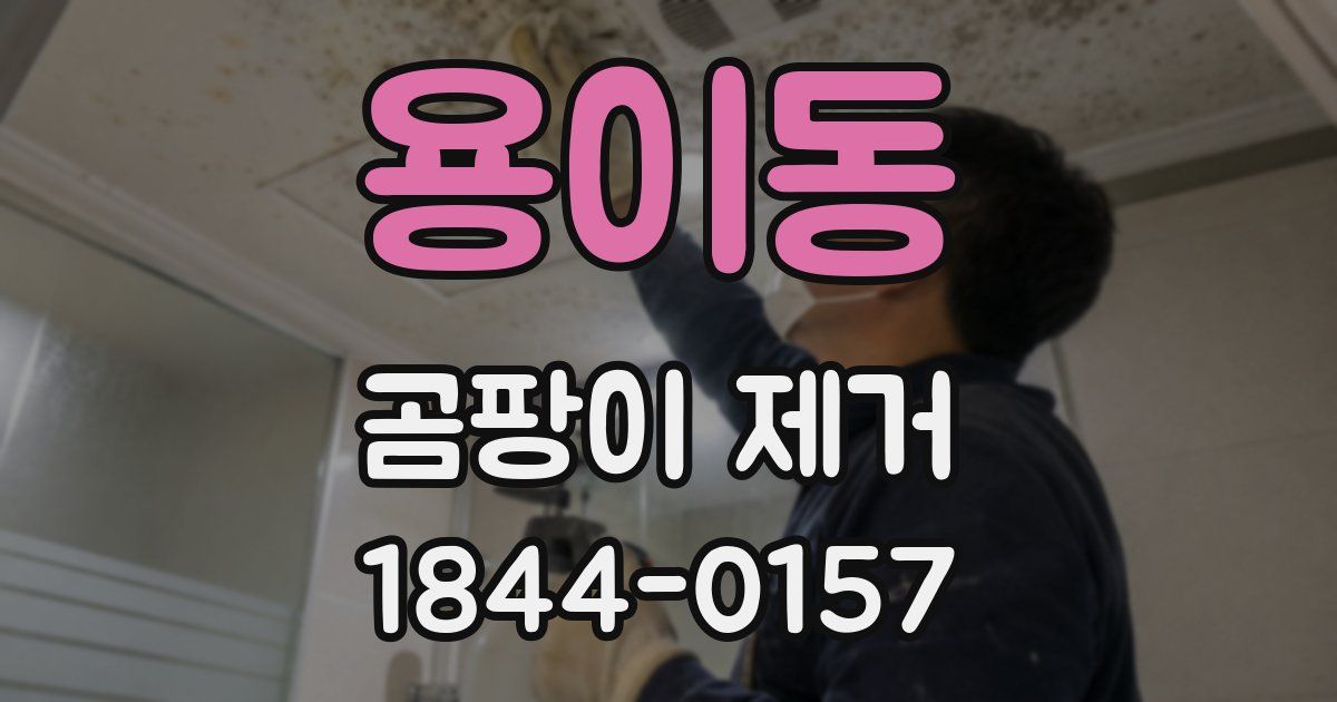 용이동 곰팡이 제거