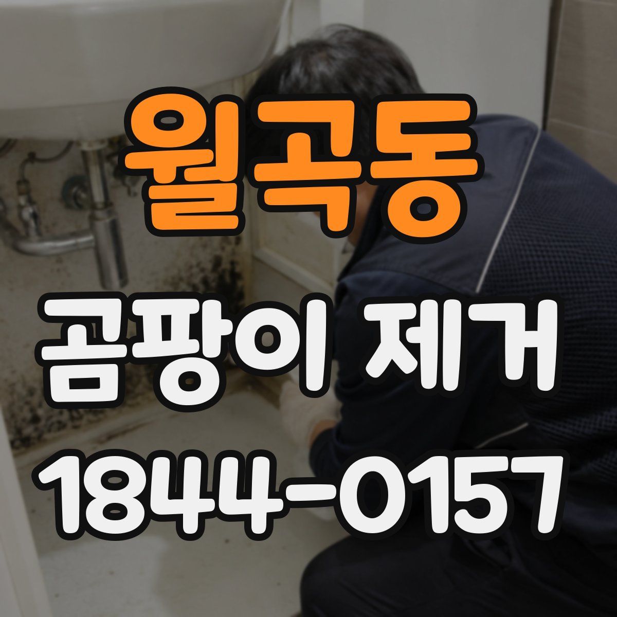 월곡동 곰팡이 제거