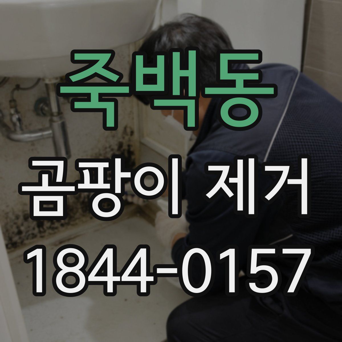 죽백동 곰팡이 제거