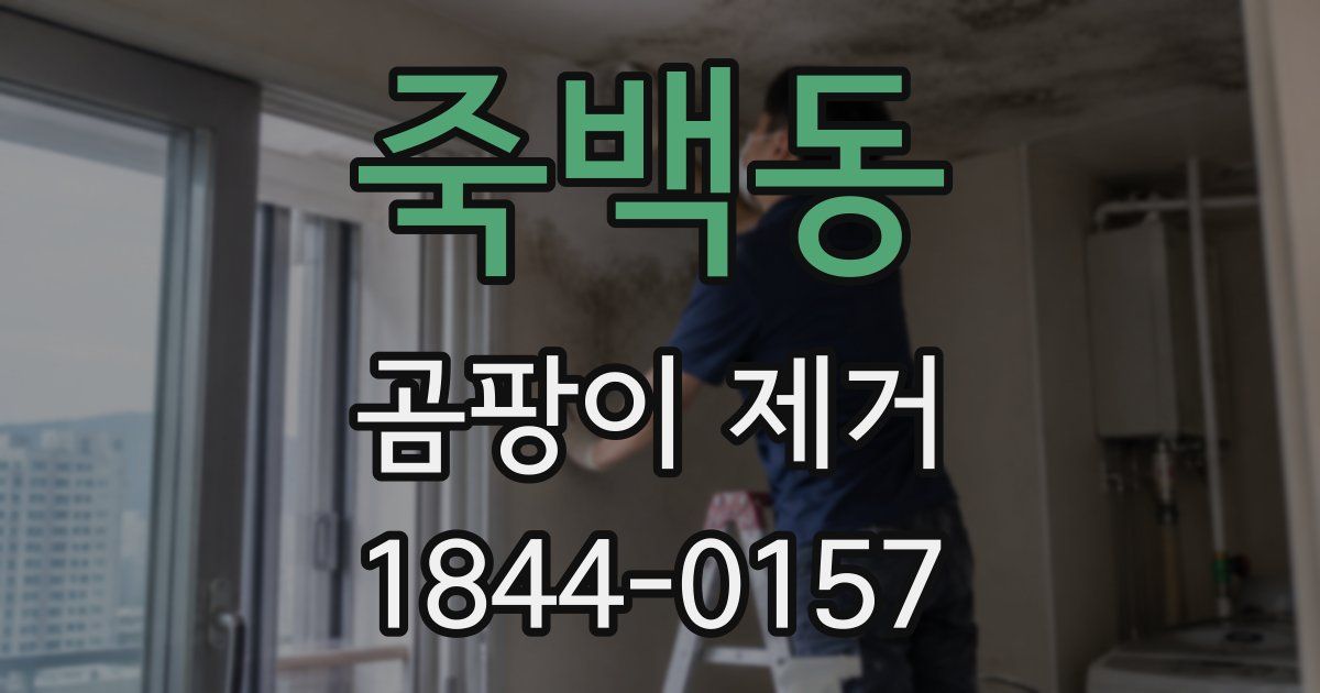 죽백동 곰팡이 제거