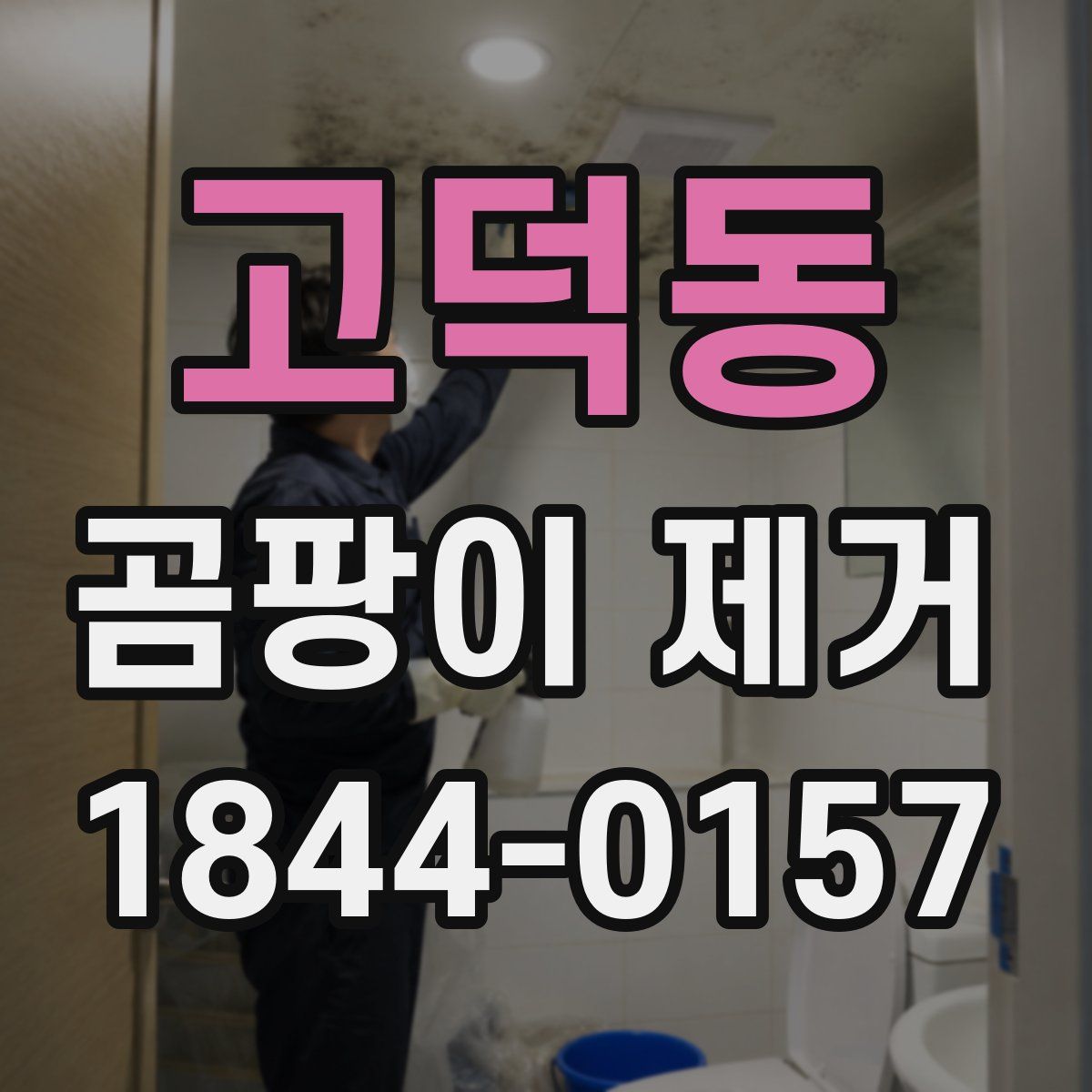 고덕동 곰팡이 제거