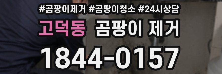 고덕동 곰팡이 제거