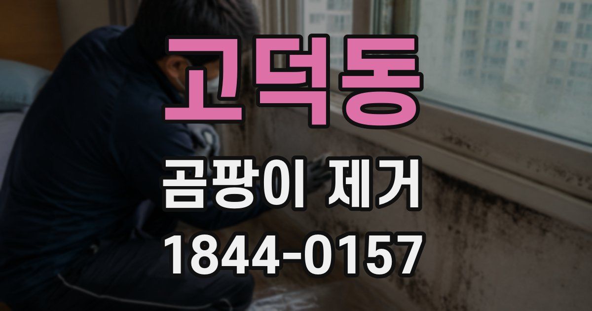 고덕동 곰팡이 제거