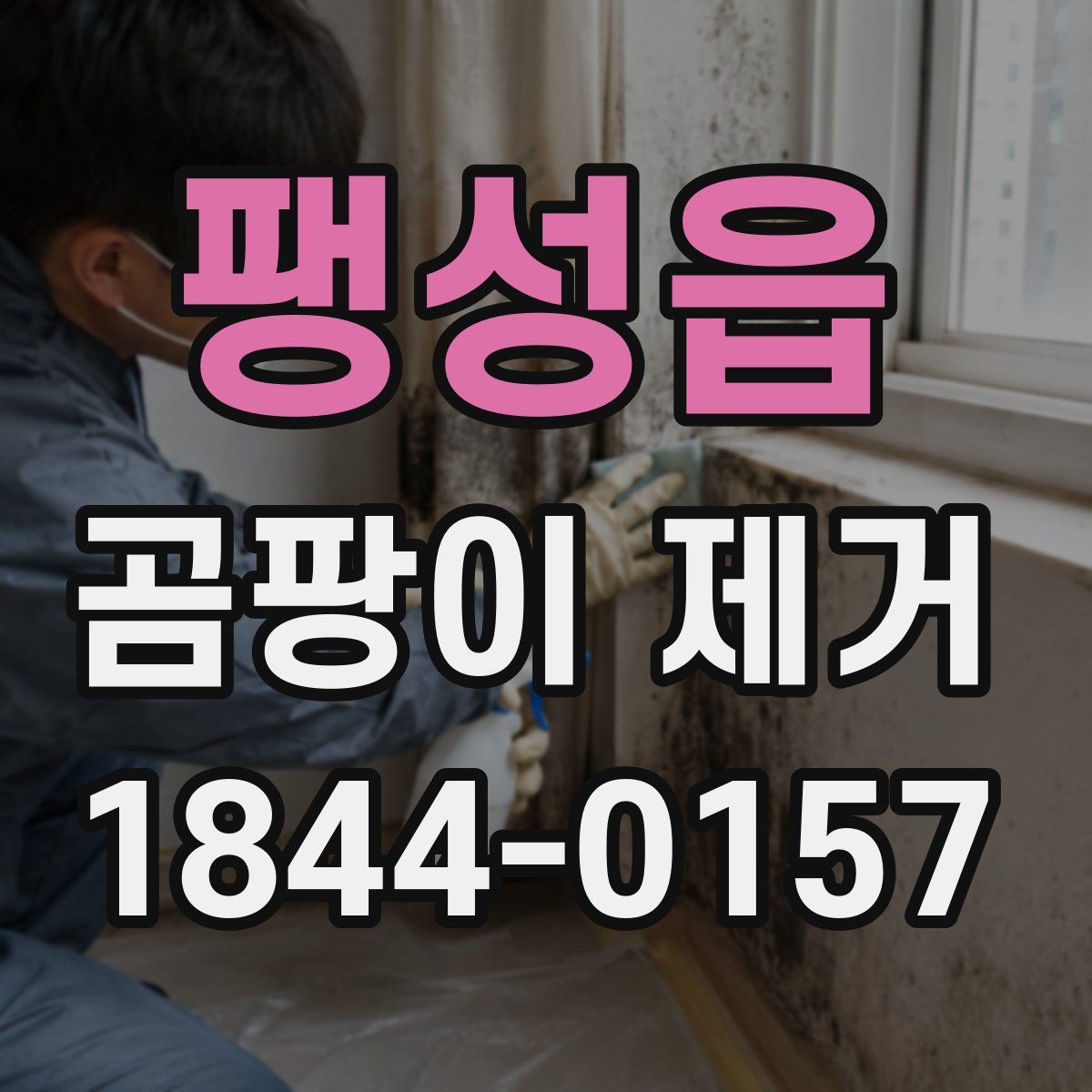 팽성읍 곰팡이 제거