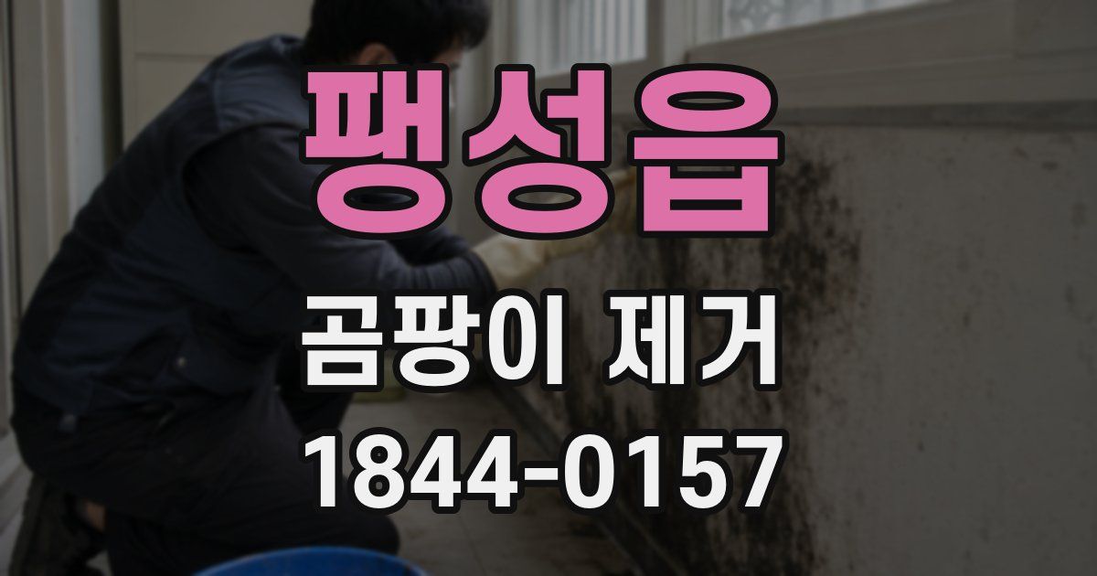 팽성읍 곰팡이 제거