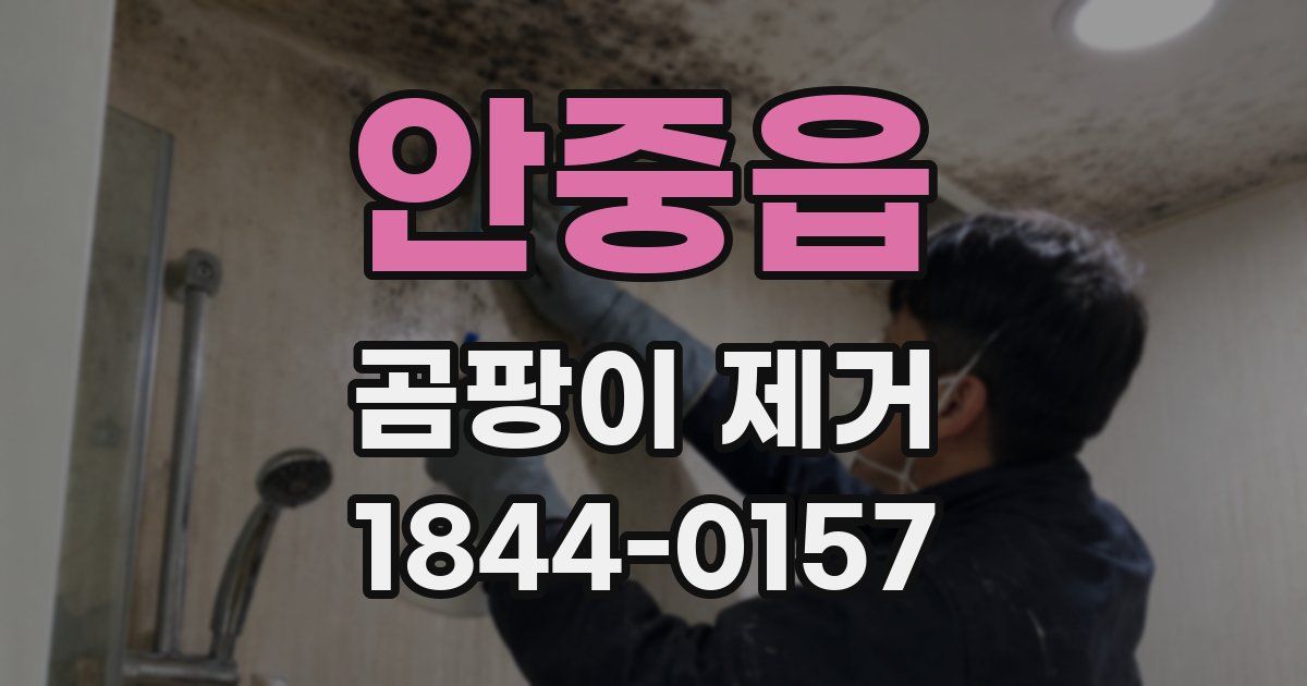 안중읍 곰팡이 제거