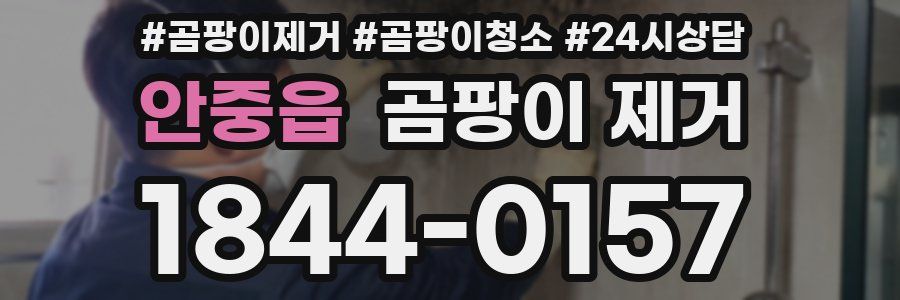 안중읍 곰팡이 제거