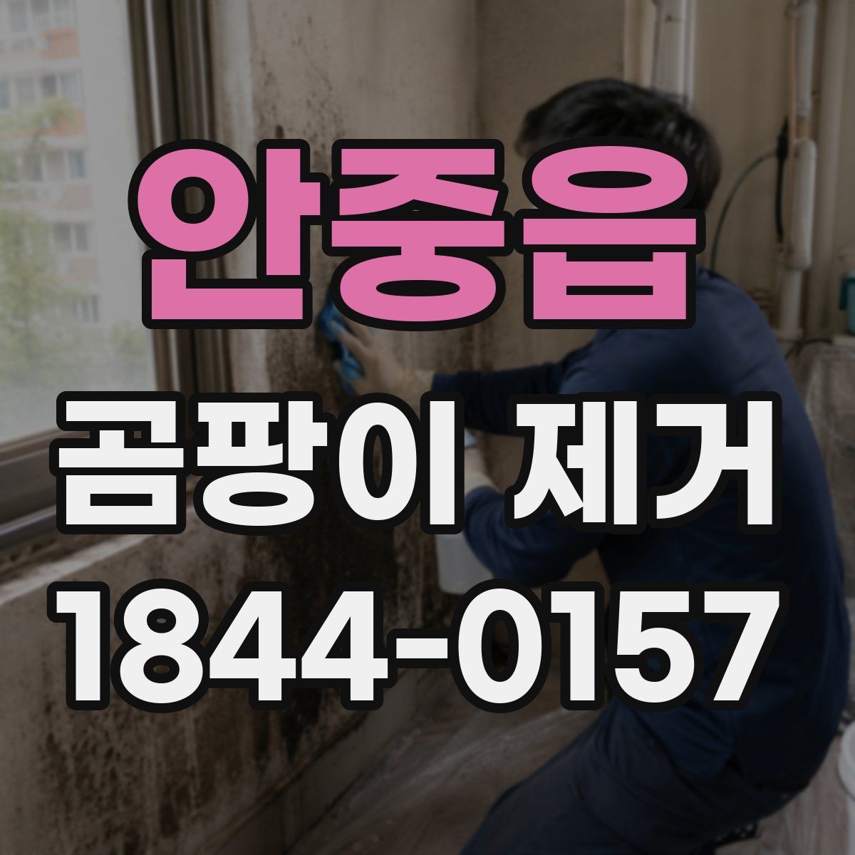 안중읍 곰팡이 제거