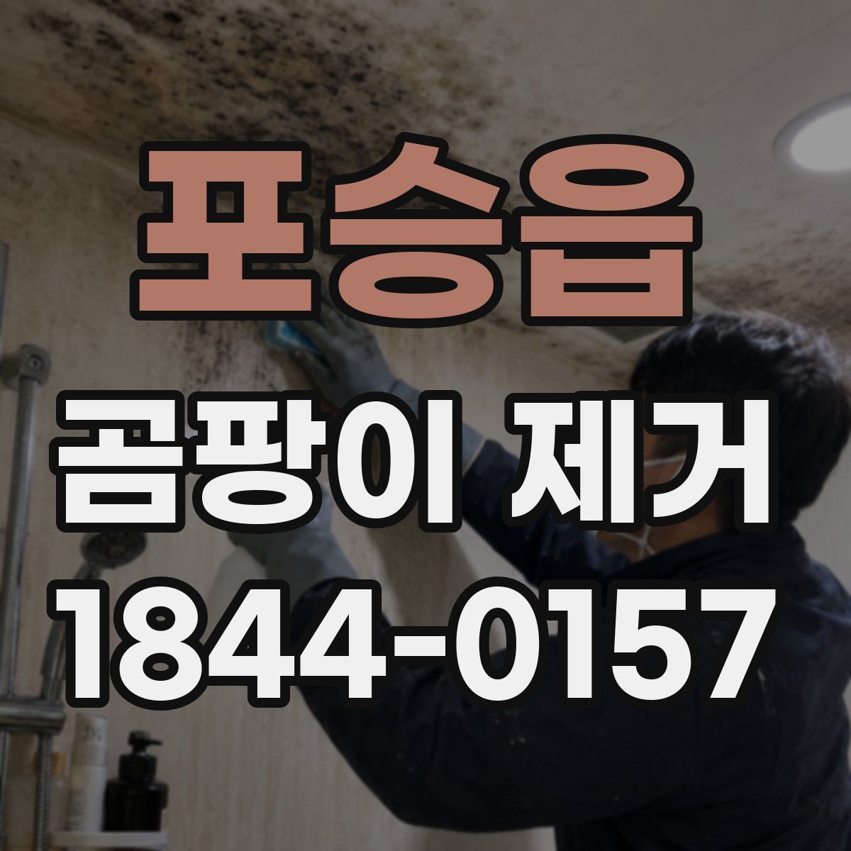 포승읍 곰팡이 제거