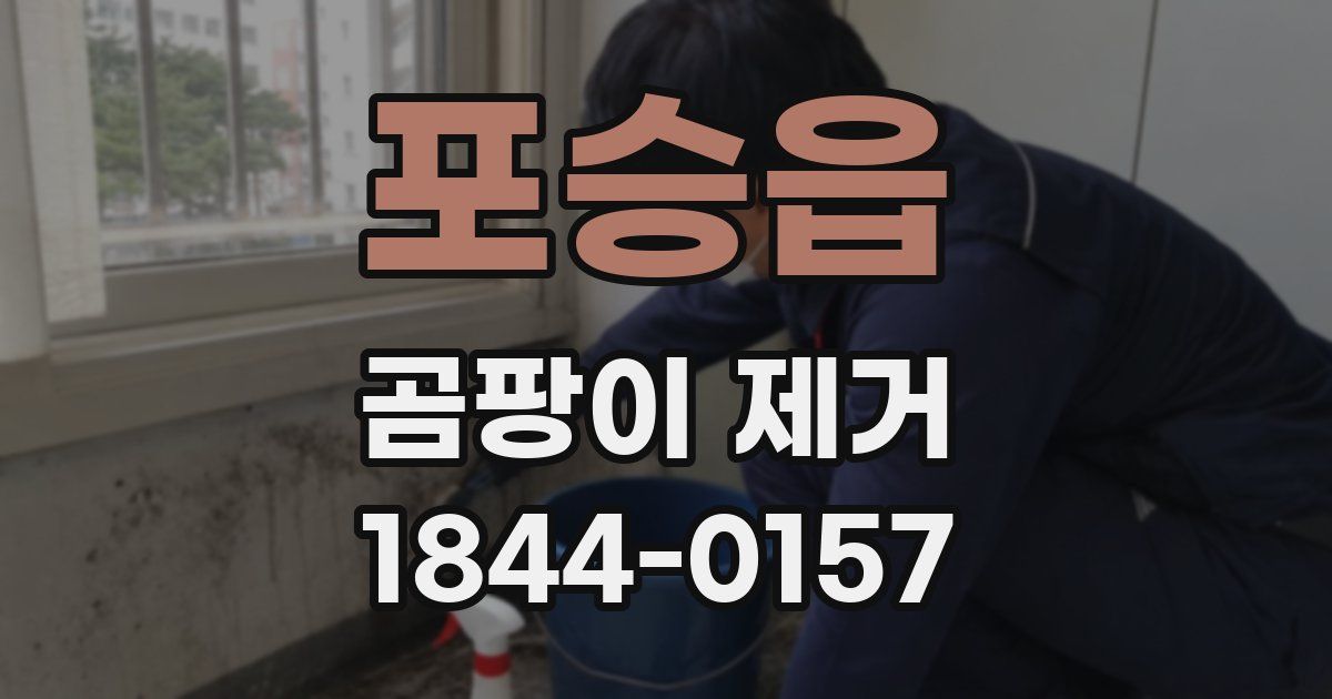 포승읍 곰팡이 제거