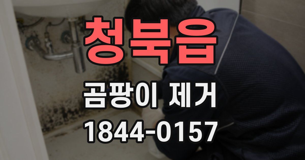 청북읍 곰팡이 제거