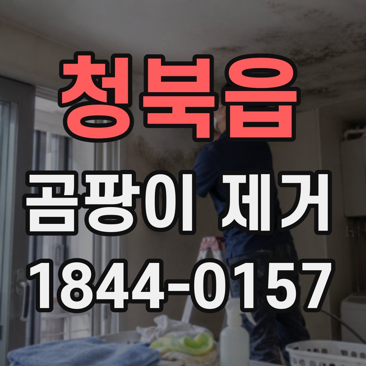 청북읍 곰팡이 제거