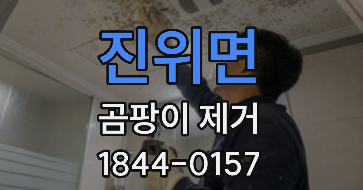진위면 곰팡이 제거