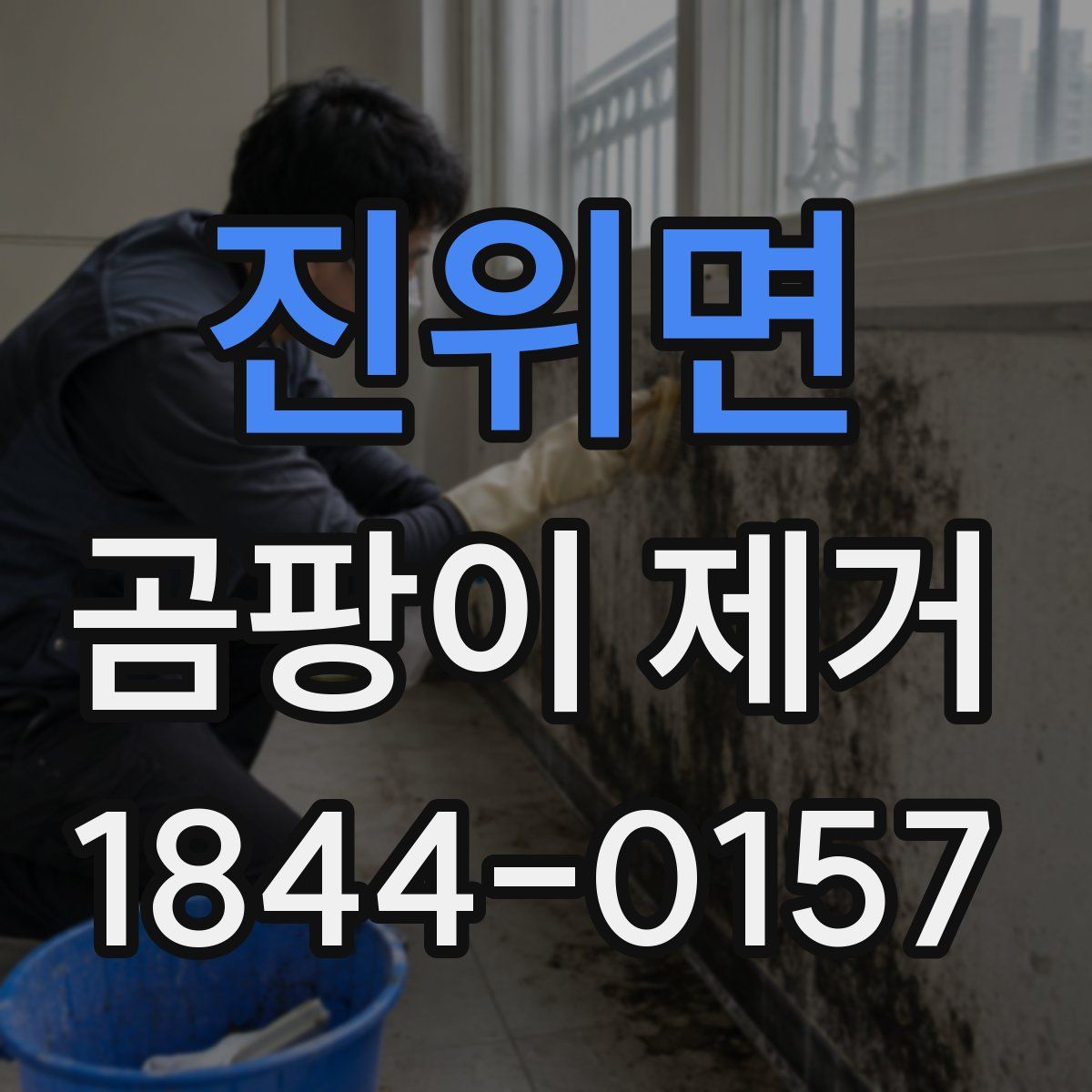 진위면 곰팡이 제거