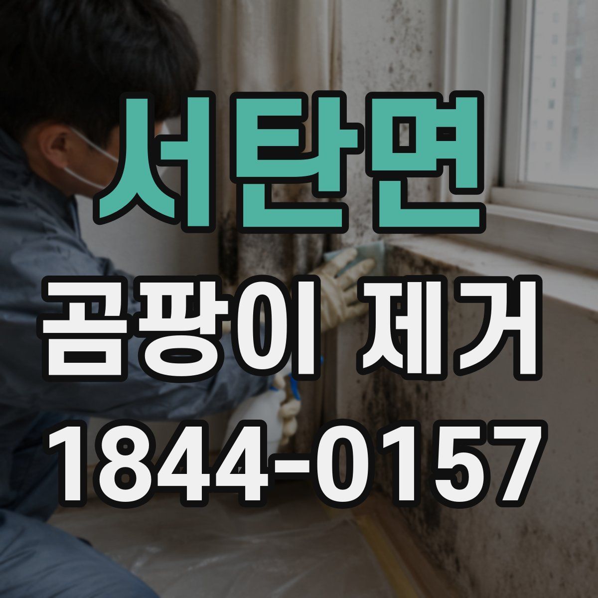 서탄면 곰팡이 제거