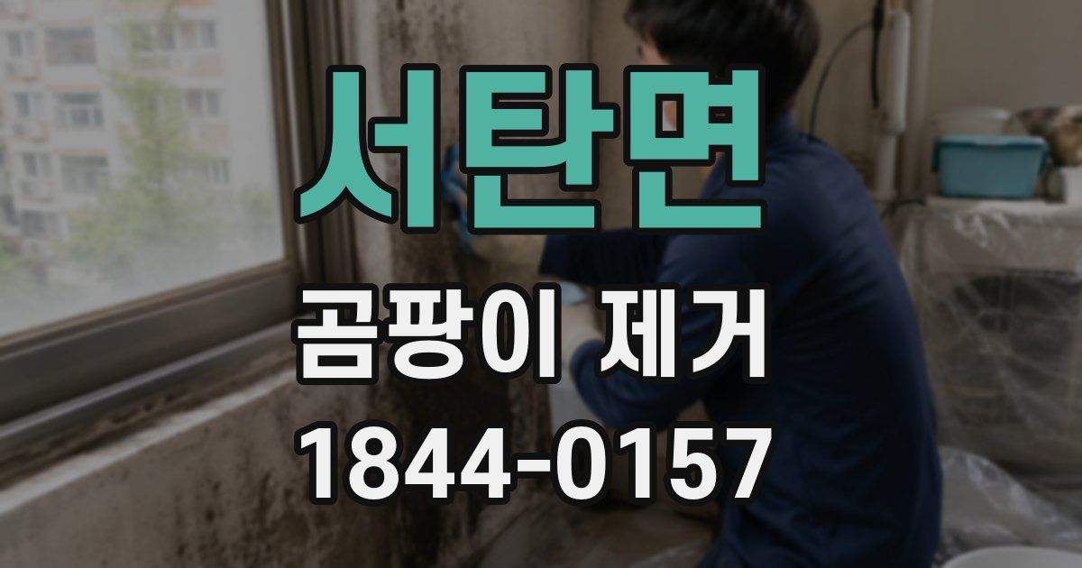 서탄면 곰팡이 제거