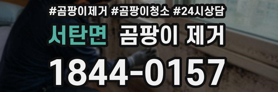 서탄면 곰팡이 제거