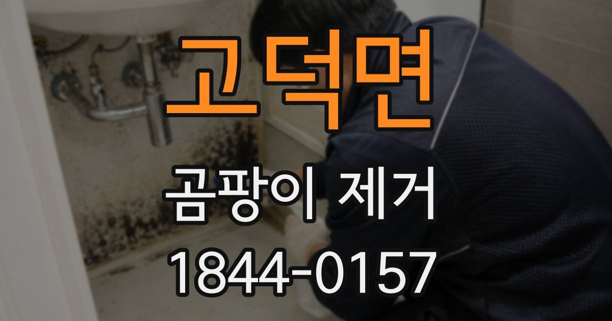 고덕면 곰팡이 제거