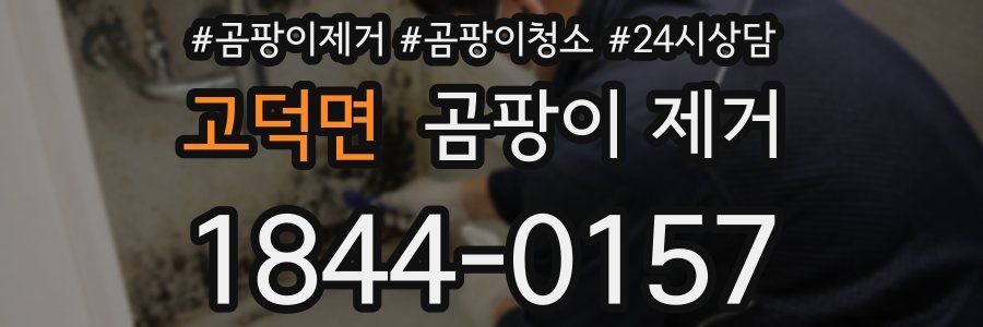 고덕면 곰팡이 제거