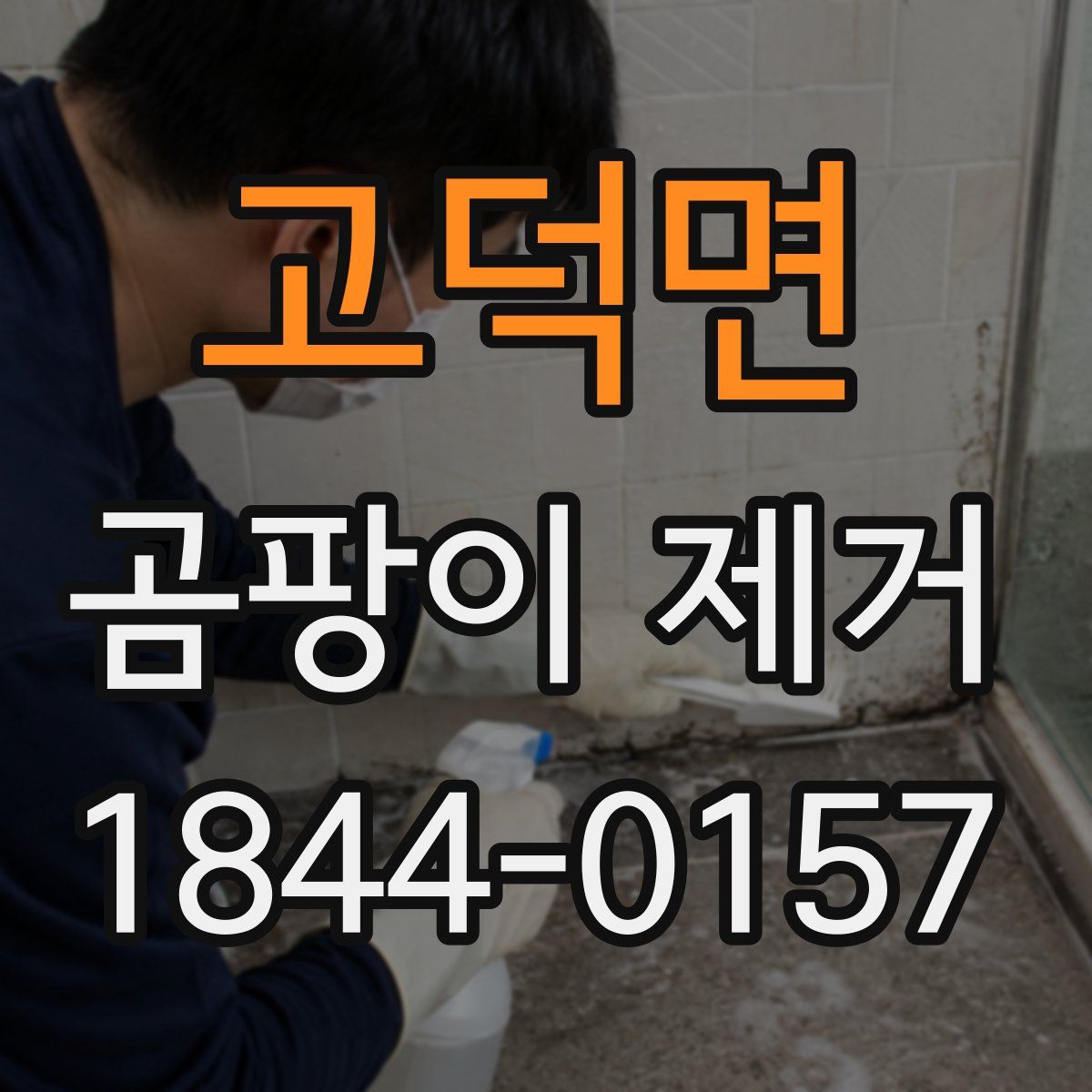 고덕면 곰팡이 제거