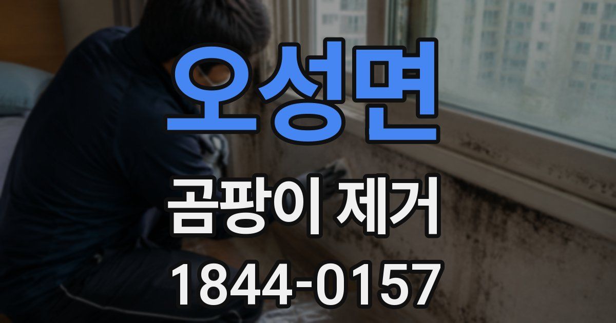 오성면 곰팡이 제거