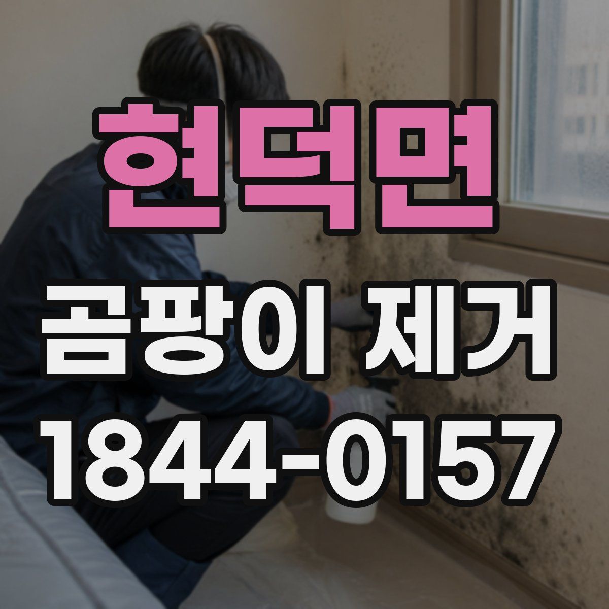현덕면 곰팡이 제거