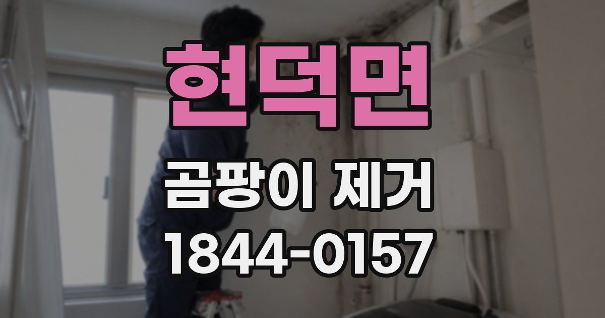 현덕면 곰팡이 제거