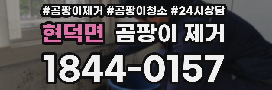 현덕면 곰팡이 제거